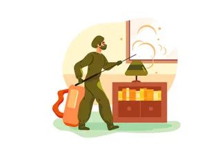 House Cleaning Illustrations
