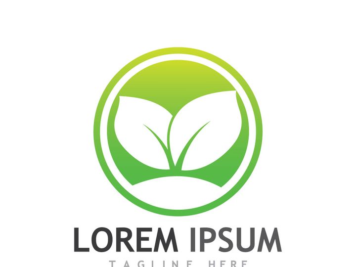 Natural green leaf logo.