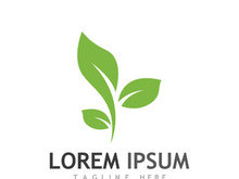 Natural green leaf logo.