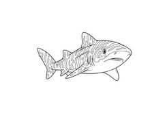 Tuna fish swimming underwater vector illustration flat design