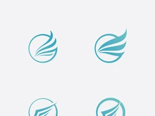 Falcon Wing  Vector Logo Icon Template