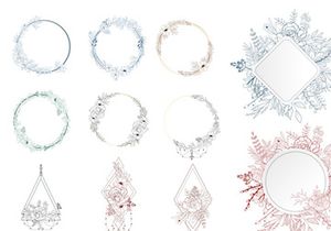 Hand-Drawn Floral Vector Collection
