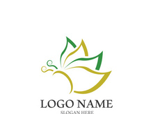 Butterfly logo icon vector design illustration