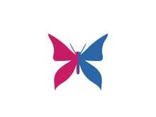 Butterfly icon design