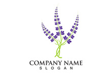 Fresh Lavender flower logo vector flat