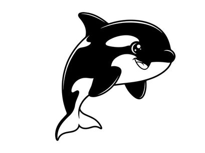Killer whale jumping ocean vector illustration flat design