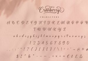 Cranberry - Modern Script Font