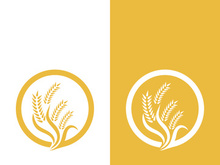 Wheat logo vector icon illustration design