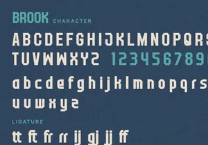 Brook - Geometric Display
