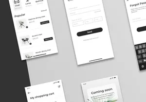 Household - Furniture App Mobile UI Kit
