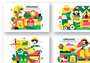 10 Organic Farming Process Illustration