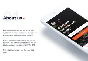 Food Mobile App UI Kit