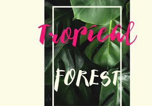Barokatt Script Font