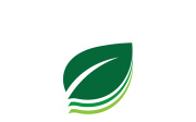 Leaf logo