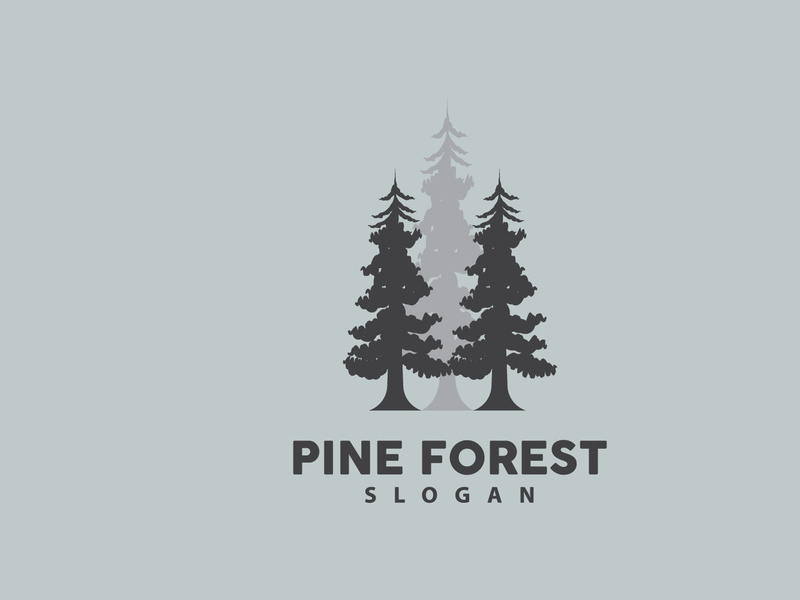 Forest Logo, Vector Forest Wood With Pine Trees