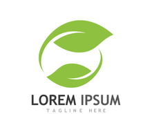 Natural green leaf logo design.