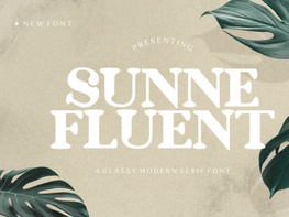 Sunne Fluent - A Classy Modern Serif Font preview picture