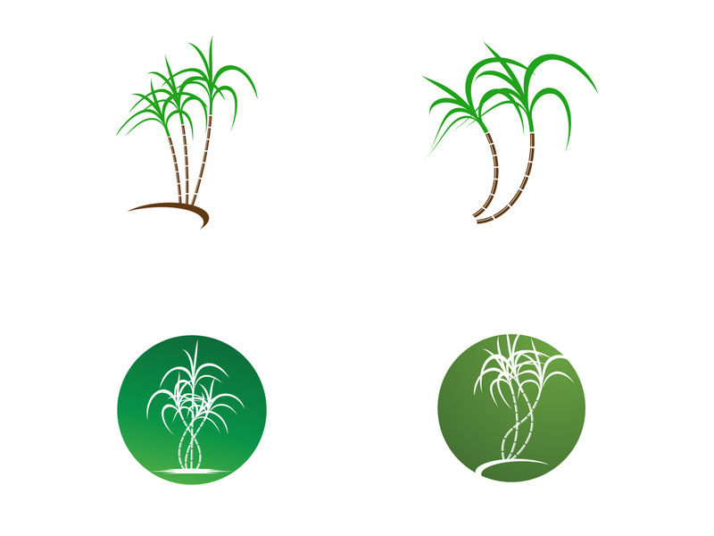 Logo icon design sugarcane farm Royalty Free Vector Image