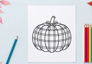 Plaid pumpkin line art illustration. Autumn harvest drawing with a decorative bow.