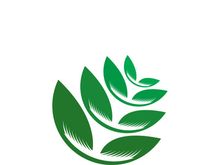 Logos of green tree leaf ecology nature element vector