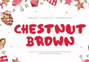 Snowshoes - Playful Display Font