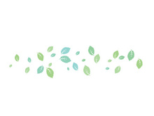 Mint Leaf icon template  illustration