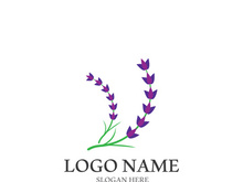 Fresh lavender flower logo vector flat design