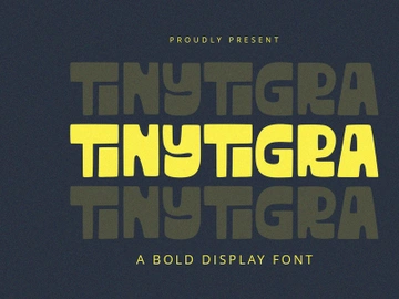 TinyTigra - Display Font preview picture