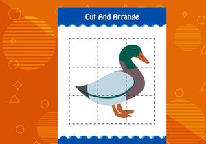 10 Pages Cut and arrange with a bird worksheet for kids. Educational game for children