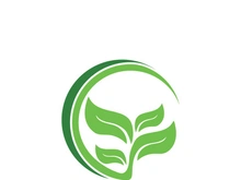 Logos of green tree leaf ecology nature element vector
