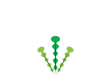 seaweed vector illustration template