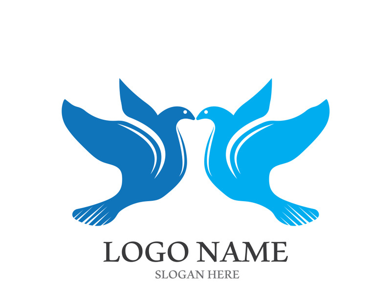 Dove bird logo vector design illustration