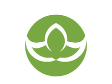 Vegan leaf green eco logo nature