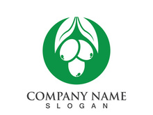 Extra virgin olive oil logo icon design vector illustration