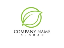 Green leaf logo Vector