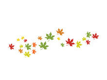 Maple Leaf design illustration