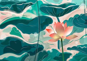 Lotus Illustrations