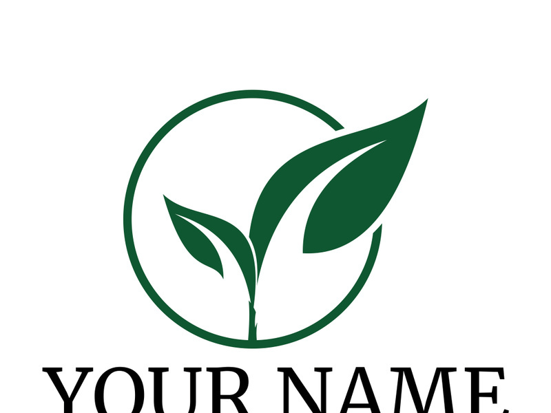 Green leaf logo design vector illustration
