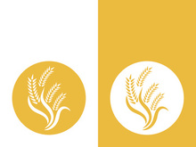 Wheat logo vector icon illustration design