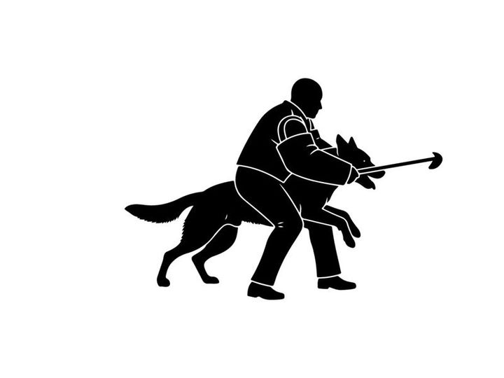 Silhouette of a man and dog in a training exercise with tug toy
