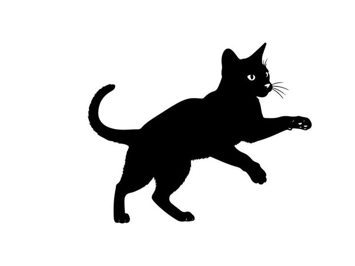 Black cat silhouette running to the right with eyes glowing