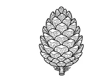 Close-up pine cone pada latar belakang putih. Detail botani alami untuk proyek alam atau kerajinan.