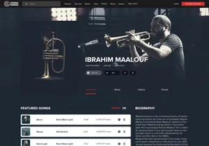 Profile website