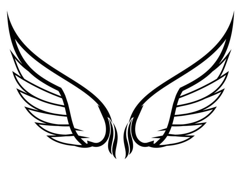 Wings logo