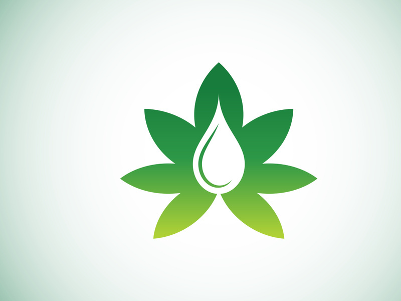 Marijuana leaf. Medical cannabis. Hemp oil. cannabis or marijuana leaf logo