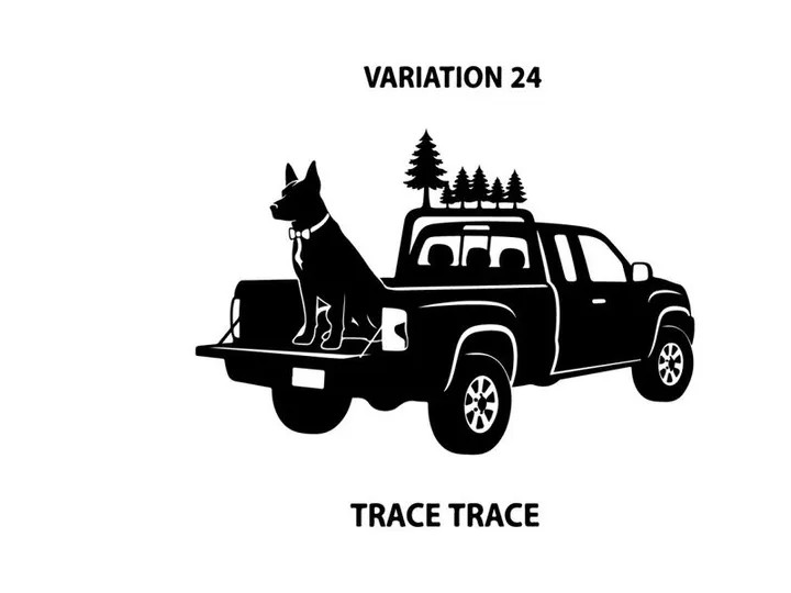 Silhouette of dog in pickup truck with trees