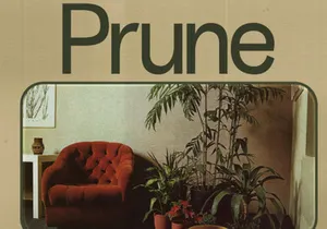 Prune Free Typeface