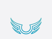 Falcon Wing  Vector Logo Icon Template