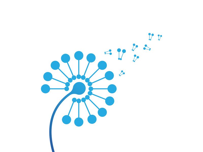 Dandelion flower logo vector
