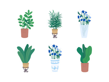 Homeplants flat color vector object set preview picture